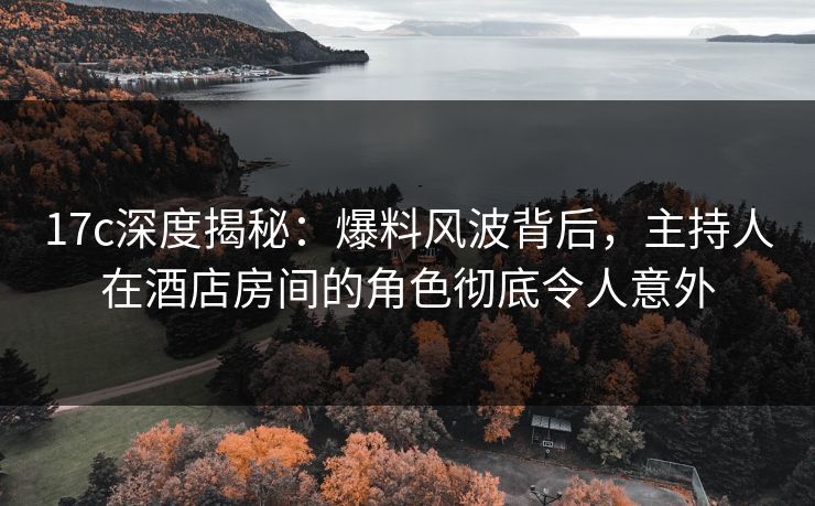 17c深度揭秘：爆料风波背后，主持人在酒店房间的角色彻底令人意外