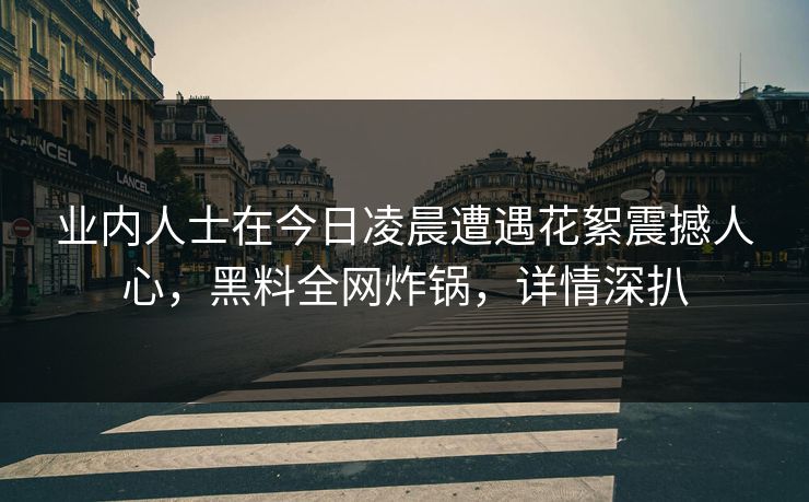 业内人士在今日凌晨遭遇花絮震撼人心,黑料全网炸锅,详情深扒