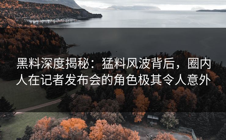 黑料深度揭秘:猛料风波背后,圈内人在记者发布会的角色极其令人意外