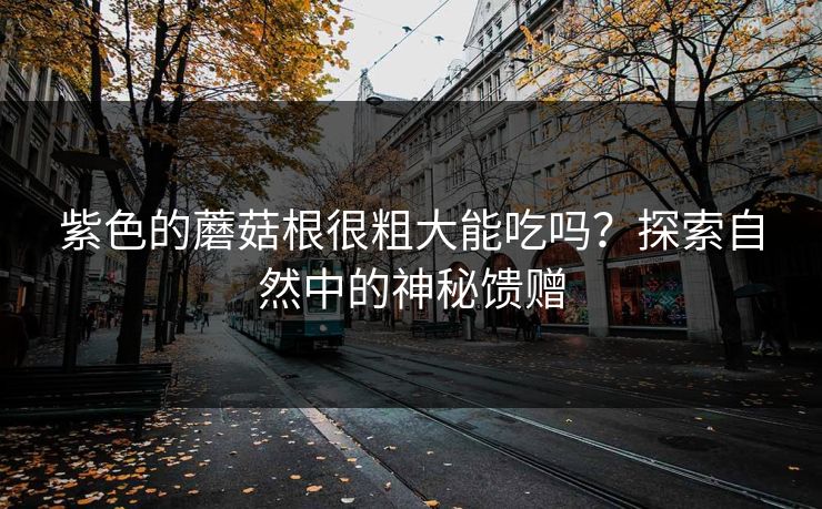紫色的蘑菇根很粗大能吃吗?探索自然中的神秘馈赠 紫色的蘑菇根很粗大能吃吗?探索自然中的神秘馈赠