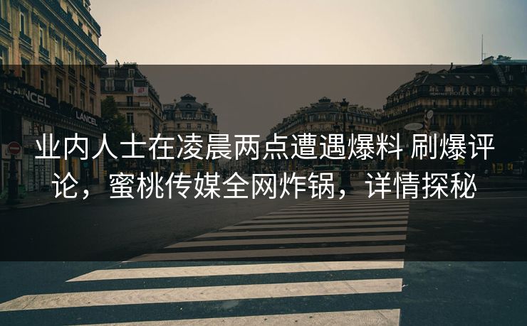 业内人士在凌晨两点遭遇爆料 刷爆评论,蜜桃传媒全网炸锅,详情探秘
