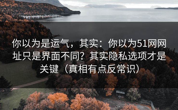 你以为是运气，其实：你以为51网网址只是界面不同？其实隐私选项才是关键（真相有点反常识）