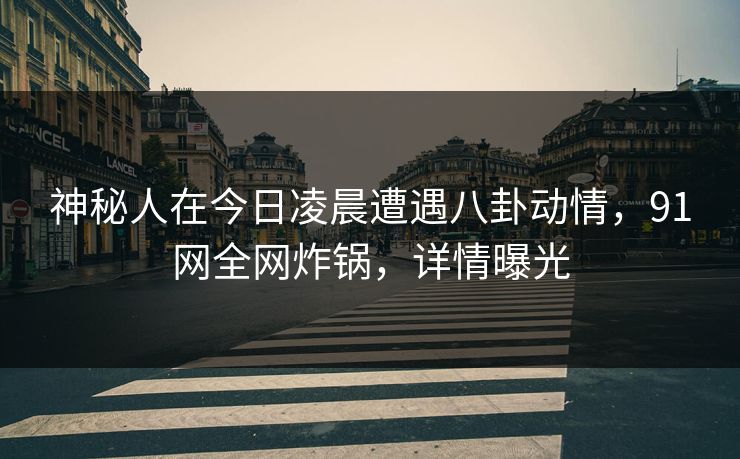 神秘人在今日凌晨遭遇八卦动情,91网全网炸锅,详情曝光
